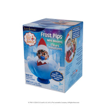 Load image into Gallery viewer, The Elf on the Shelf® Brown Eyed Boy &amp; Matching Frost Pips™ Mini Bloom
