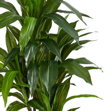 Load image into Gallery viewer, Nearly Natural 48&quot; Dracaena Silk Plant (Real Touch) Green
