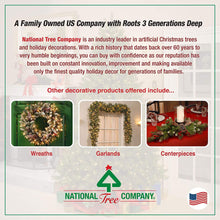 Load image into Gallery viewer, National Tree Company Artificial Mini Christmas Tree, Green, Dunhill Fir, Includes Stand, 4.5 Feet
