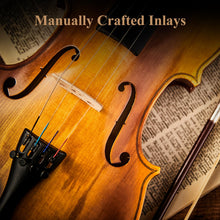 Load image into Gallery viewer, Eastar 4/4 Violin Set Full Size Fiddle Solidwood for Adults with Hard Case, Shoulder Rest, Rosin, Two Bows, Clip-on Tuner and Extra Strings, EVA-330
