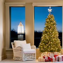 Load image into Gallery viewer, LUCKY SHINE 150 LED Warm White String Lights, UL Certified 50 FT Green Wire Christmas Lights, for Indoor and Outdoor Party, Garden, Patio, Wall, Trees
