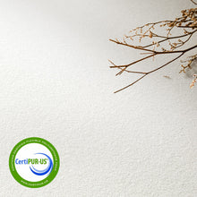 Load image into Gallery viewer, Best Price Mattress Full Mattress 6 inch Bed-In-A-Box, Green Tea Memory Foam White
