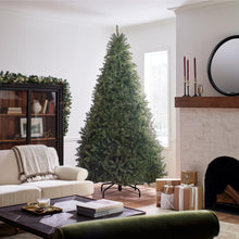 Load image into Gallery viewer, National Tree Company Artificial Full Christmas Tree, Green, Dunhill Fir, Includes Stand, 9 Feet
