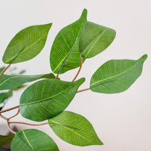 Load image into Gallery viewer, Nearly Natural 5208 Ficus Artificial Tree with Curved Trunk, 5-Feet, Green
