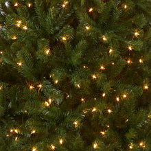 Load image into Gallery viewer, National Tree Company Pre-Lit Artificial Christmas Tree, Green, North Valley Spruce, White Lights, Includes Stand, 7 Feet
