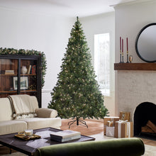 Load image into Gallery viewer, National Tree Company Pre-Lit Artificial Full Christmas Tree, Green, North Valley Spruce, White Lights, Includes Stand, 9 Feet
