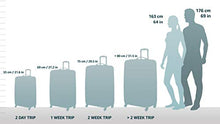 Load image into Gallery viewer, DELSEY Paris Helium Aero Hardside Expandable Luggage with Spinner Wheels, Titanium, Carry-On 21 Inch
