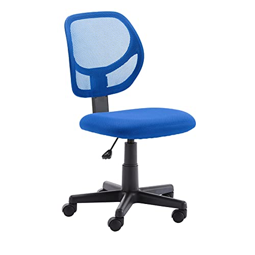 Amazon Basics Low-Back Computer Task Office Desk Chair with Swivel Casters - Blue