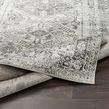 Load image into Gallery viewer, Artistic Weavers Desta Vintage Oriental Area Rug, 5&#39;3&quot; x 7&#39;3&quot;, Charcoal
